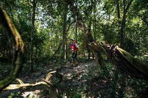 BIB: 
                            <button type="button" onclick="openModal(28068229)" class="btn btn-primary btn-sm float-right btn-popup" data-toggle="modal" data-target=".modal-high-quality">
                        <i class="fas fa-shopping-cart"></i> Add to Cart
                    </button>
                                            <button type="button" onclick="isThisMe(28068229, true)" class="btn btn-success btn-sm float-right btn-popup btn-isme hidden" data-toggle="tooltip" data-placement="bottom" title="นี่คือรูปของคุณใช่ไหม คลิกที่นี่เพื่อเอาเข้าอัลบั้ม">
                        <i class="fas fa-plus"></i> Add to album
                    </button>
                    <button type="button" onclick="isThisMe(28068229, false)" class="btn btn-warning btn-sm float-right btn-popup btn-isnotme hidden">
                        <i class="fas fa-ban"></i> Remove from album
                    </button>