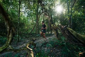 BIB: 
                            <button type="button" onclick="openModal(27954025)" class="btn btn-primary btn-sm float-right btn-popup" data-toggle="modal" data-target=".modal-high-quality">
                        <i class="fas fa-shopping-cart"></i> Add to Cart
                    </button>
                                            <button type="button" onclick="isThisMe(27954025, true)" class="btn btn-success btn-sm float-right btn-popup btn-isme hidden" data-toggle="tooltip" data-placement="bottom" title="นี่คือรูปของคุณใช่ไหม คลิกที่นี่เพื่อเอาเข้าอัลบั้ม">
                        <i class="fas fa-plus"></i> Add to album
                    </button>
                    <button type="button" onclick="isThisMe(27954025, false)" class="btn btn-warning btn-sm float-right btn-popup btn-isnotme hidden">
                        <i class="fas fa-ban"></i> Remove from album
                    </button>