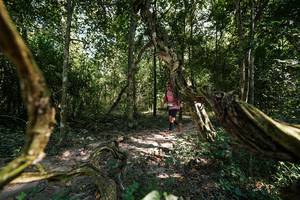 BIB: 
                            <button type="button" onclick="openModal(28076858)" class="btn btn-primary btn-sm float-right btn-popup" data-toggle="modal" data-target=".modal-high-quality">
                        <i class="fas fa-shopping-cart"></i> Add to Cart
                    </button>
                                            <button type="button" onclick="isThisMe(28076858, true)" class="btn btn-success btn-sm float-right btn-popup btn-isme hidden" data-toggle="tooltip" data-placement="bottom" title="นี่คือรูปของคุณใช่ไหม คลิกที่นี่เพื่อเอาเข้าอัลบั้ม">
                        <i class="fas fa-plus"></i> Add to album
                    </button>
                    <button type="button" onclick="isThisMe(28076858, false)" class="btn btn-warning btn-sm float-right btn-popup btn-isnotme hidden">
                        <i class="fas fa-ban"></i> Remove from album
                    </button>