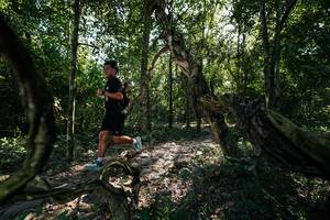 BIB: 
                            <button type="button" onclick="openModal(27955350)" class="btn btn-primary btn-sm float-right btn-popup" data-toggle="modal" data-target=".modal-high-quality">
                        <i class="fas fa-shopping-cart"></i> Add to Cart
                    </button>
                                            <button type="button" onclick="isThisMe(27955350, true)" class="btn btn-success btn-sm float-right btn-popup btn-isme hidden" data-toggle="tooltip" data-placement="bottom" title="นี่คือรูปของคุณใช่ไหม คลิกที่นี่เพื่อเอาเข้าอัลบั้ม">
                        <i class="fas fa-plus"></i> Add to album
                    </button>
                    <button type="button" onclick="isThisMe(27955350, false)" class="btn btn-warning btn-sm float-right btn-popup btn-isnotme hidden">
                        <i class="fas fa-ban"></i> Remove from album
                    </button>