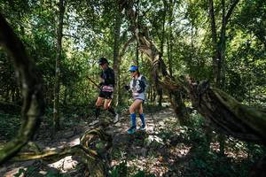 BIB: 
                            <button type="button" onclick="openModal(28069159)" class="btn btn-primary btn-sm float-right btn-popup" data-toggle="modal" data-target=".modal-high-quality">
                        <i class="fas fa-shopping-cart"></i> Add to Cart
                    </button>
                                            <button type="button" onclick="isThisMe(28069159, true)" class="btn btn-success btn-sm float-right btn-popup btn-isme hidden" data-toggle="tooltip" data-placement="bottom" title="นี่คือรูปของคุณใช่ไหม คลิกที่นี่เพื่อเอาเข้าอัลบั้ม">
                        <i class="fas fa-plus"></i> Add to album
                    </button>
                    <button type="button" onclick="isThisMe(28069159, false)" class="btn btn-warning btn-sm float-right btn-popup btn-isnotme hidden">
                        <i class="fas fa-ban"></i> Remove from album
                    </button>