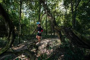 BIB: 
                            <button type="button" onclick="openModal(27955327)" class="btn btn-primary btn-sm float-right btn-popup" data-toggle="modal" data-target=".modal-high-quality">
                        <i class="fas fa-shopping-cart"></i> Add to Cart
                    </button>
                                            <button type="button" onclick="isThisMe(27955327, true)" class="btn btn-success btn-sm float-right btn-popup btn-isme hidden" data-toggle="tooltip" data-placement="bottom" title="นี่คือรูปของคุณใช่ไหม คลิกที่นี่เพื่อเอาเข้าอัลบั้ม">
                        <i class="fas fa-plus"></i> Add to album
                    </button>
                    <button type="button" onclick="isThisMe(27955327, false)" class="btn btn-warning btn-sm float-right btn-popup btn-isnotme hidden">
                        <i class="fas fa-ban"></i> Remove from album
                    </button>