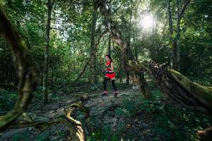 BIB: 
                            <button type="button" onclick="openModal(27954073)" class="btn btn-primary btn-sm float-right btn-popup" data-toggle="modal" data-target=".modal-high-quality">
                        <i class="fas fa-shopping-cart"></i> Add to Cart
                    </button>
                                            <button type="button" onclick="isThisMe(27954073, true)" class="btn btn-success btn-sm float-right btn-popup btn-isme hidden" data-toggle="tooltip" data-placement="bottom" title="นี่คือรูปของคุณใช่ไหม คลิกที่นี่เพื่อเอาเข้าอัลบั้ม">
                        <i class="fas fa-plus"></i> Add to album
                    </button>
                    <button type="button" onclick="isThisMe(27954073, false)" class="btn btn-warning btn-sm float-right btn-popup btn-isnotme hidden">
                        <i class="fas fa-ban"></i> Remove from album
                    </button>