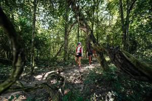 BIB: 
                            <button type="button" onclick="openModal(28070763)" class="btn btn-primary btn-sm float-right btn-popup" data-toggle="modal" data-target=".modal-high-quality">
                        <i class="fas fa-shopping-cart"></i> Add to Cart
                    </button>
                                            <button type="button" onclick="isThisMe(28070763, true)" class="btn btn-success btn-sm float-right btn-popup btn-isme hidden" data-toggle="tooltip" data-placement="bottom" title="นี่คือรูปของคุณใช่ไหม คลิกที่นี่เพื่อเอาเข้าอัลบั้ม">
                        <i class="fas fa-plus"></i> Add to album
                    </button>
                    <button type="button" onclick="isThisMe(28070763, false)" class="btn btn-warning btn-sm float-right btn-popup btn-isnotme hidden">
                        <i class="fas fa-ban"></i> Remove from album
                    </button>