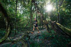 BIB: 
                            <button type="button" onclick="openModal(27953844)" class="btn btn-primary btn-sm float-right btn-popup" data-toggle="modal" data-target=".modal-high-quality">
                        <i class="fas fa-shopping-cart"></i> Add to Cart
                    </button>
                                            <button type="button" onclick="isThisMe(27953844, true)" class="btn btn-success btn-sm float-right btn-popup btn-isme hidden" data-toggle="tooltip" data-placement="bottom" title="นี่คือรูปของคุณใช่ไหม คลิกที่นี่เพื่อเอาเข้าอัลบั้ม">
                        <i class="fas fa-plus"></i> Add to album
                    </button>
                    <button type="button" onclick="isThisMe(27953844, false)" class="btn btn-warning btn-sm float-right btn-popup btn-isnotme hidden">
                        <i class="fas fa-ban"></i> Remove from album
                    </button>