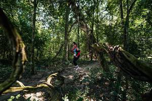 BIB: 
                            <button type="button" onclick="openModal(28068394)" class="btn btn-primary btn-sm float-right btn-popup" data-toggle="modal" data-target=".modal-high-quality">
                        <i class="fas fa-shopping-cart"></i> Add to Cart
                    </button>
                                            <button type="button" onclick="isThisMe(28068394, true)" class="btn btn-success btn-sm float-right btn-popup btn-isme hidden" data-toggle="tooltip" data-placement="bottom" title="นี่คือรูปของคุณใช่ไหม คลิกที่นี่เพื่อเอาเข้าอัลบั้ม">
                        <i class="fas fa-plus"></i> Add to album
                    </button>
                    <button type="button" onclick="isThisMe(28068394, false)" class="btn btn-warning btn-sm float-right btn-popup btn-isnotme hidden">
                        <i class="fas fa-ban"></i> Remove from album
                    </button>