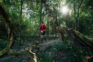 BIB: 
                            <button type="button" onclick="openModal(27954101)" class="btn btn-primary btn-sm float-right btn-popup" data-toggle="modal" data-target=".modal-high-quality">
                        <i class="fas fa-shopping-cart"></i> Add to Cart
                    </button>
                                            <button type="button" onclick="isThisMe(27954101, true)" class="btn btn-success btn-sm float-right btn-popup btn-isme hidden" data-toggle="tooltip" data-placement="bottom" title="นี่คือรูปของคุณใช่ไหม คลิกที่นี่เพื่อเอาเข้าอัลบั้ม">
                        <i class="fas fa-plus"></i> Add to album
                    </button>
                    <button type="button" onclick="isThisMe(27954101, false)" class="btn btn-warning btn-sm float-right btn-popup btn-isnotme hidden">
                        <i class="fas fa-ban"></i> Remove from album
                    </button>