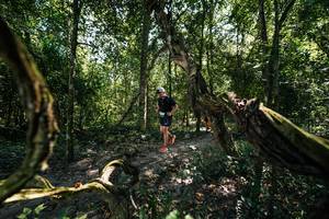 BIB: 
                            <button type="button" onclick="openModal(28067663)" class="btn btn-primary btn-sm float-right btn-popup" data-toggle="modal" data-target=".modal-high-quality">
                        <i class="fas fa-shopping-cart"></i> Add to Cart
                    </button>
                                            <button type="button" onclick="isThisMe(28067663, true)" class="btn btn-success btn-sm float-right btn-popup btn-isme hidden" data-toggle="tooltip" data-placement="bottom" title="นี่คือรูปของคุณใช่ไหม คลิกที่นี่เพื่อเอาเข้าอัลบั้ม">
                        <i class="fas fa-plus"></i> Add to album
                    </button>
                    <button type="button" onclick="isThisMe(28067663, false)" class="btn btn-warning btn-sm float-right btn-popup btn-isnotme hidden">
                        <i class="fas fa-ban"></i> Remove from album
                    </button>