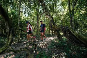 BIB: 
                            <button type="button" onclick="openModal(28070795)" class="btn btn-primary btn-sm float-right btn-popup" data-toggle="modal" data-target=".modal-high-quality">
                        <i class="fas fa-shopping-cart"></i> Add to Cart
                    </button>
                                            <button type="button" onclick="isThisMe(28070795, true)" class="btn btn-success btn-sm float-right btn-popup btn-isme hidden" data-toggle="tooltip" data-placement="bottom" title="นี่คือรูปของคุณใช่ไหม คลิกที่นี่เพื่อเอาเข้าอัลบั้ม">
                        <i class="fas fa-plus"></i> Add to album
                    </button>
                    <button type="button" onclick="isThisMe(28070795, false)" class="btn btn-warning btn-sm float-right btn-popup btn-isnotme hidden">
                        <i class="fas fa-ban"></i> Remove from album
                    </button>