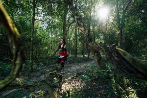 BIB: 
                            <button type="button" onclick="openModal(27954690)" class="btn btn-primary btn-sm float-right btn-popup" data-toggle="modal" data-target=".modal-high-quality">
                        <i class="fas fa-shopping-cart"></i> Add to Cart
                    </button>
                                            <button type="button" onclick="isThisMe(27954690, true)" class="btn btn-success btn-sm float-right btn-popup btn-isme hidden" data-toggle="tooltip" data-placement="bottom" title="นี่คือรูปของคุณใช่ไหม คลิกที่นี่เพื่อเอาเข้าอัลบั้ม">
                        <i class="fas fa-plus"></i> Add to album
                    </button>
                    <button type="button" onclick="isThisMe(27954690, false)" class="btn btn-warning btn-sm float-right btn-popup btn-isnotme hidden">
                        <i class="fas fa-ban"></i> Remove from album
                    </button>