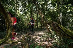 BIB: 
                            <button type="button" onclick="openModal(28076703)" class="btn btn-primary btn-sm float-right btn-popup" data-toggle="modal" data-target=".modal-high-quality">
                        <i class="fas fa-shopping-cart"></i> Add to Cart
                    </button>
                                            <button type="button" onclick="isThisMe(28076703, true)" class="btn btn-success btn-sm float-right btn-popup btn-isme hidden" data-toggle="tooltip" data-placement="bottom" title="นี่คือรูปของคุณใช่ไหม คลิกที่นี่เพื่อเอาเข้าอัลบั้ม">
                        <i class="fas fa-plus"></i> Add to album
                    </button>
                    <button type="button" onclick="isThisMe(28076703, false)" class="btn btn-warning btn-sm float-right btn-popup btn-isnotme hidden">
                        <i class="fas fa-ban"></i> Remove from album
                    </button>