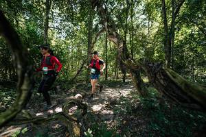 BIB: 
                            <button type="button" onclick="openModal(28069800)" class="btn btn-primary btn-sm float-right btn-popup" data-toggle="modal" data-target=".modal-high-quality">
                        <i class="fas fa-shopping-cart"></i> Add to Cart
                    </button>
                                            <button type="button" onclick="isThisMe(28069800, true)" class="btn btn-success btn-sm float-right btn-popup btn-isme hidden" data-toggle="tooltip" data-placement="bottom" title="นี่คือรูปของคุณใช่ไหม คลิกที่นี่เพื่อเอาเข้าอัลบั้ม">
                        <i class="fas fa-plus"></i> Add to album
                    </button>
                    <button type="button" onclick="isThisMe(28069800, false)" class="btn btn-warning btn-sm float-right btn-popup btn-isnotme hidden">
                        <i class="fas fa-ban"></i> Remove from album
                    </button>