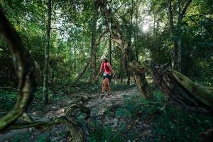 BIB: 
                            <button type="button" onclick="openModal(27953568)" class="btn btn-primary btn-sm float-right btn-popup" data-toggle="modal" data-target=".modal-high-quality">
                        <i class="fas fa-shopping-cart"></i> Add to Cart
                    </button>
                                            <button type="button" onclick="isThisMe(27953568, true)" class="btn btn-success btn-sm float-right btn-popup btn-isme hidden" data-toggle="tooltip" data-placement="bottom" title="นี่คือรูปของคุณใช่ไหม คลิกที่นี่เพื่อเอาเข้าอัลบั้ม">
                        <i class="fas fa-plus"></i> Add to album
                    </button>
                    <button type="button" onclick="isThisMe(27953568, false)" class="btn btn-warning btn-sm float-right btn-popup btn-isnotme hidden">
                        <i class="fas fa-ban"></i> Remove from album
                    </button>