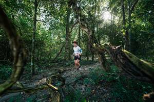 BIB: 
                            <button type="button" onclick="openModal(27954013)" class="btn btn-primary btn-sm float-right btn-popup" data-toggle="modal" data-target=".modal-high-quality">
                        <i class="fas fa-shopping-cart"></i> Add to Cart
                    </button>
                                            <button type="button" onclick="isThisMe(27954013, true)" class="btn btn-success btn-sm float-right btn-popup btn-isme hidden" data-toggle="tooltip" data-placement="bottom" title="นี่คือรูปของคุณใช่ไหม คลิกที่นี่เพื่อเอาเข้าอัลบั้ม">
                        <i class="fas fa-plus"></i> Add to album
                    </button>
                    <button type="button" onclick="isThisMe(27954013, false)" class="btn btn-warning btn-sm float-right btn-popup btn-isnotme hidden">
                        <i class="fas fa-ban"></i> Remove from album
                    </button>