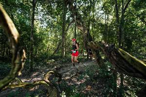 BIB: 
                            <button type="button" onclick="openModal(28066742)" class="btn btn-primary btn-sm float-right btn-popup" data-toggle="modal" data-target=".modal-high-quality">
                        <i class="fas fa-shopping-cart"></i> Add to Cart
                    </button>
                                            <button type="button" onclick="isThisMe(28066742, true)" class="btn btn-success btn-sm float-right btn-popup btn-isme hidden" data-toggle="tooltip" data-placement="bottom" title="นี่คือรูปของคุณใช่ไหม คลิกที่นี่เพื่อเอาเข้าอัลบั้ม">
                        <i class="fas fa-plus"></i> Add to album
                    </button>
                    <button type="button" onclick="isThisMe(28066742, false)" class="btn btn-warning btn-sm float-right btn-popup btn-isnotme hidden">
                        <i class="fas fa-ban"></i> Remove from album
                    </button>