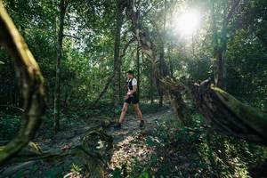 BIB: 
                            <button type="button" onclick="openModal(27954831)" class="btn btn-primary btn-sm float-right btn-popup" data-toggle="modal" data-target=".modal-high-quality">
                        <i class="fas fa-shopping-cart"></i> Add to Cart
                    </button>
                                            <button type="button" onclick="isThisMe(27954831, true)" class="btn btn-success btn-sm float-right btn-popup btn-isme hidden" data-toggle="tooltip" data-placement="bottom" title="นี่คือรูปของคุณใช่ไหม คลิกที่นี่เพื่อเอาเข้าอัลบั้ม">
                        <i class="fas fa-plus"></i> Add to album
                    </button>
                    <button type="button" onclick="isThisMe(27954831, false)" class="btn btn-warning btn-sm float-right btn-popup btn-isnotme hidden">
                        <i class="fas fa-ban"></i> Remove from album
                    </button>