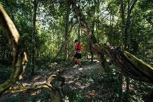 BIB: 
                            <button type="button" onclick="openModal(28066712)" class="btn btn-primary btn-sm float-right btn-popup" data-toggle="modal" data-target=".modal-high-quality">
                        <i class="fas fa-shopping-cart"></i> Add to Cart
                    </button>
                                            <button type="button" onclick="isThisMe(28066712, true)" class="btn btn-success btn-sm float-right btn-popup btn-isme hidden" data-toggle="tooltip" data-placement="bottom" title="นี่คือรูปของคุณใช่ไหม คลิกที่นี่เพื่อเอาเข้าอัลบั้ม">
                        <i class="fas fa-plus"></i> Add to album
                    </button>
                    <button type="button" onclick="isThisMe(28066712, false)" class="btn btn-warning btn-sm float-right btn-popup btn-isnotme hidden">
                        <i class="fas fa-ban"></i> Remove from album
                    </button>