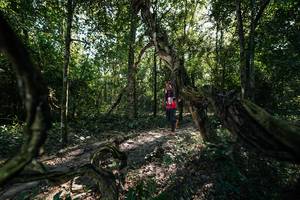 BIB: 
                            <button type="button" onclick="openModal(27955315)" class="btn btn-primary btn-sm float-right btn-popup" data-toggle="modal" data-target=".modal-high-quality">
                        <i class="fas fa-shopping-cart"></i> Add to Cart
                    </button>
                                            <button type="button" onclick="isThisMe(27955315, true)" class="btn btn-success btn-sm float-right btn-popup btn-isme hidden" data-toggle="tooltip" data-placement="bottom" title="นี่คือรูปของคุณใช่ไหม คลิกที่นี่เพื่อเอาเข้าอัลบั้ม">
                        <i class="fas fa-plus"></i> Add to album
                    </button>
                    <button type="button" onclick="isThisMe(27955315, false)" class="btn btn-warning btn-sm float-right btn-popup btn-isnotme hidden">
                        <i class="fas fa-ban"></i> Remove from album
                    </button>