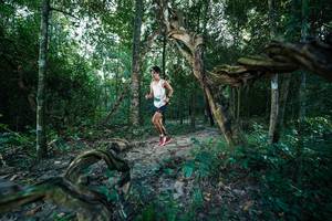 BIB: 
                            <button type="button" onclick="openModal(27952952)" class="btn btn-primary btn-sm float-right btn-popup" data-toggle="modal" data-target=".modal-high-quality">
                        <i class="fas fa-shopping-cart"></i> Add to Cart
                    </button>
                                            <button type="button" onclick="isThisMe(27952952, true)" class="btn btn-success btn-sm float-right btn-popup btn-isme hidden" data-toggle="tooltip" data-placement="bottom" title="นี่คือรูปของคุณใช่ไหม คลิกที่นี่เพื่อเอาเข้าอัลบั้ม">
                        <i class="fas fa-plus"></i> Add to album
                    </button>
                    <button type="button" onclick="isThisMe(27952952, false)" class="btn btn-warning btn-sm float-right btn-popup btn-isnotme hidden">
                        <i class="fas fa-ban"></i> Remove from album
                    </button>