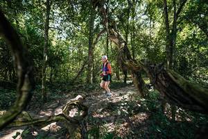 BIB: 
                            <button type="button" onclick="openModal(28069266)" class="btn btn-primary btn-sm float-right btn-popup" data-toggle="modal" data-target=".modal-high-quality">
                        <i class="fas fa-shopping-cart"></i> Add to Cart
                    </button>
                                            <button type="button" onclick="isThisMe(28069266, true)" class="btn btn-success btn-sm float-right btn-popup btn-isme hidden" data-toggle="tooltip" data-placement="bottom" title="นี่คือรูปของคุณใช่ไหม คลิกที่นี่เพื่อเอาเข้าอัลบั้ม">
                        <i class="fas fa-plus"></i> Add to album
                    </button>
                    <button type="button" onclick="isThisMe(28069266, false)" class="btn btn-warning btn-sm float-right btn-popup btn-isnotme hidden">
                        <i class="fas fa-ban"></i> Remove from album
                    </button>