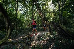 BIB: 
                            <button type="button" onclick="openModal(27955146)" class="btn btn-primary btn-sm float-right btn-popup" data-toggle="modal" data-target=".modal-high-quality">
                        <i class="fas fa-shopping-cart"></i> Add to Cart
                    </button>
                                            <button type="button" onclick="isThisMe(27955146, true)" class="btn btn-success btn-sm float-right btn-popup btn-isme hidden" data-toggle="tooltip" data-placement="bottom" title="นี่คือรูปของคุณใช่ไหม คลิกที่นี่เพื่อเอาเข้าอัลบั้ม">
                        <i class="fas fa-plus"></i> Add to album
                    </button>
                    <button type="button" onclick="isThisMe(27955146, false)" class="btn btn-warning btn-sm float-right btn-popup btn-isnotme hidden">
                        <i class="fas fa-ban"></i> Remove from album
                    </button>