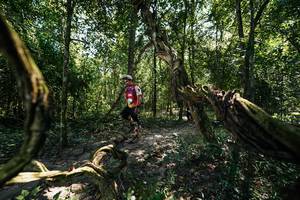 BIB: 
                            <button type="button" onclick="openModal(28068223)" class="btn btn-primary btn-sm float-right btn-popup" data-toggle="modal" data-target=".modal-high-quality">
                        <i class="fas fa-shopping-cart"></i> Add to Cart
                    </button>
                                            <button type="button" onclick="isThisMe(28068223, true)" class="btn btn-success btn-sm float-right btn-popup btn-isme hidden" data-toggle="tooltip" data-placement="bottom" title="นี่คือรูปของคุณใช่ไหม คลิกที่นี่เพื่อเอาเข้าอัลบั้ม">
                        <i class="fas fa-plus"></i> Add to album
                    </button>
                    <button type="button" onclick="isThisMe(28068223, false)" class="btn btn-warning btn-sm float-right btn-popup btn-isnotme hidden">
                        <i class="fas fa-ban"></i> Remove from album
                    </button>