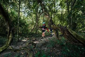 BIB: 
                            <button type="button" onclick="openModal(28072525)" class="btn btn-primary btn-sm float-right btn-popup" data-toggle="modal" data-target=".modal-high-quality">
                        <i class="fas fa-shopping-cart"></i> Add to Cart
                    </button>
                                            <button type="button" onclick="isThisMe(28072525, true)" class="btn btn-success btn-sm float-right btn-popup btn-isme hidden" data-toggle="tooltip" data-placement="bottom" title="นี่คือรูปของคุณใช่ไหม คลิกที่นี่เพื่อเอาเข้าอัลบั้ม">
                        <i class="fas fa-plus"></i> Add to album
                    </button>
                    <button type="button" onclick="isThisMe(28072525, false)" class="btn btn-warning btn-sm float-right btn-popup btn-isnotme hidden">
                        <i class="fas fa-ban"></i> Remove from album
                    </button>