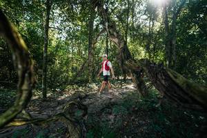 BIB: 
                            <button type="button" onclick="openModal(28057259)" class="btn btn-primary btn-sm float-right btn-popup" data-toggle="modal" data-target=".modal-high-quality">
                        <i class="fas fa-shopping-cart"></i> Add to Cart
                    </button>
                                            <button type="button" onclick="isThisMe(28057259, true)" class="btn btn-success btn-sm float-right btn-popup btn-isme hidden" data-toggle="tooltip" data-placement="bottom" title="นี่คือรูปของคุณใช่ไหม คลิกที่นี่เพื่อเอาเข้าอัลบั้ม">
                        <i class="fas fa-plus"></i> Add to album
                    </button>
                    <button type="button" onclick="isThisMe(28057259, false)" class="btn btn-warning btn-sm float-right btn-popup btn-isnotme hidden">
                        <i class="fas fa-ban"></i> Remove from album
                    </button>