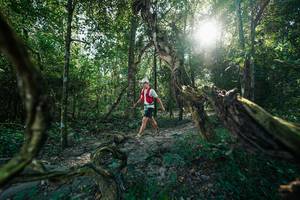 BIB: 
                            <button type="button" onclick="openModal(27953926)" class="btn btn-primary btn-sm float-right btn-popup" data-toggle="modal" data-target=".modal-high-quality">
                        <i class="fas fa-shopping-cart"></i> Add to Cart
                    </button>
                                            <button type="button" onclick="isThisMe(27953926, true)" class="btn btn-success btn-sm float-right btn-popup btn-isme hidden" data-toggle="tooltip" data-placement="bottom" title="นี่คือรูปของคุณใช่ไหม คลิกที่นี่เพื่อเอาเข้าอัลบั้ม">
                        <i class="fas fa-plus"></i> Add to album
                    </button>
                    <button type="button" onclick="isThisMe(27953926, false)" class="btn btn-warning btn-sm float-right btn-popup btn-isnotme hidden">
                        <i class="fas fa-ban"></i> Remove from album
                    </button>