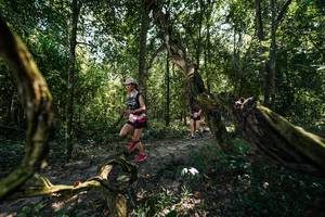 BIB: 
                            <button type="button" onclick="openModal(28058692)" class="btn btn-primary btn-sm float-right btn-popup" data-toggle="modal" data-target=".modal-high-quality">
                        <i class="fas fa-shopping-cart"></i> Add to Cart
                    </button>
                                            <button type="button" onclick="isThisMe(28058692, true)" class="btn btn-success btn-sm float-right btn-popup btn-isme hidden" data-toggle="tooltip" data-placement="bottom" title="นี่คือรูปของคุณใช่ไหม คลิกที่นี่เพื่อเอาเข้าอัลบั้ม">
                        <i class="fas fa-plus"></i> Add to album
                    </button>
                    <button type="button" onclick="isThisMe(28058692, false)" class="btn btn-warning btn-sm float-right btn-popup btn-isnotme hidden">
                        <i class="fas fa-ban"></i> Remove from album
                    </button>