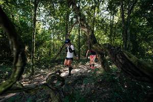 BIB: 
                            <button type="button" onclick="openModal(28056440)" class="btn btn-primary btn-sm float-right btn-popup" data-toggle="modal" data-target=".modal-high-quality">
                        <i class="fas fa-shopping-cart"></i> Add to Cart
                    </button>
                                            <button type="button" onclick="isThisMe(28056440, true)" class="btn btn-success btn-sm float-right btn-popup btn-isme hidden" data-toggle="tooltip" data-placement="bottom" title="นี่คือรูปของคุณใช่ไหม คลิกที่นี่เพื่อเอาเข้าอัลบั้ม">
                        <i class="fas fa-plus"></i> Add to album
                    </button>
                    <button type="button" onclick="isThisMe(28056440, false)" class="btn btn-warning btn-sm float-right btn-popup btn-isnotme hidden">
                        <i class="fas fa-ban"></i> Remove from album
                    </button>