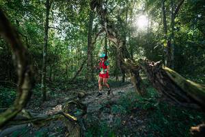 BIB: 
                            <button type="button" onclick="openModal(27953976)" class="btn btn-primary btn-sm float-right btn-popup" data-toggle="modal" data-target=".modal-high-quality">
                        <i class="fas fa-shopping-cart"></i> Add to Cart
                    </button>
                                            <button type="button" onclick="isThisMe(27953976, true)" class="btn btn-success btn-sm float-right btn-popup btn-isme hidden" data-toggle="tooltip" data-placement="bottom" title="นี่คือรูปของคุณใช่ไหม คลิกที่นี่เพื่อเอาเข้าอัลบั้ม">
                        <i class="fas fa-plus"></i> Add to album
                    </button>
                    <button type="button" onclick="isThisMe(27953976, false)" class="btn btn-warning btn-sm float-right btn-popup btn-isnotme hidden">
                        <i class="fas fa-ban"></i> Remove from album
                    </button>