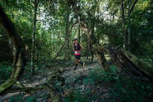 BIB: 
                            <button type="button" onclick="openModal(27953395)" class="btn btn-primary btn-sm float-right btn-popup" data-toggle="modal" data-target=".modal-high-quality">
                        <i class="fas fa-shopping-cart"></i> Add to Cart
                    </button>
                                            <button type="button" onclick="isThisMe(27953395, true)" class="btn btn-success btn-sm float-right btn-popup btn-isme hidden" data-toggle="tooltip" data-placement="bottom" title="นี่คือรูปของคุณใช่ไหม คลิกที่นี่เพื่อเอาเข้าอัลบั้ม">
                        <i class="fas fa-plus"></i> Add to album
                    </button>
                    <button type="button" onclick="isThisMe(27953395, false)" class="btn btn-warning btn-sm float-right btn-popup btn-isnotme hidden">
                        <i class="fas fa-ban"></i> Remove from album
                    </button>