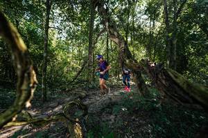 BIB: 
                            <button type="button" onclick="openModal(28058115)" class="btn btn-primary btn-sm float-right btn-popup" data-toggle="modal" data-target=".modal-high-quality">
                        <i class="fas fa-shopping-cart"></i> Add to Cart
                    </button>
                                            <button type="button" onclick="isThisMe(28058115, true)" class="btn btn-success btn-sm float-right btn-popup btn-isme hidden" data-toggle="tooltip" data-placement="bottom" title="นี่คือรูปของคุณใช่ไหม คลิกที่นี่เพื่อเอาเข้าอัลบั้ม">
                        <i class="fas fa-plus"></i> Add to album
                    </button>
                    <button type="button" onclick="isThisMe(28058115, false)" class="btn btn-warning btn-sm float-right btn-popup btn-isnotme hidden">
                        <i class="fas fa-ban"></i> Remove from album
                    </button>