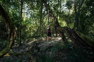 BIB: 
                            <button type="button" onclick="openModal(28057521)" class="btn btn-primary btn-sm float-right btn-popup" data-toggle="modal" data-target=".modal-high-quality">
                        <i class="fas fa-shopping-cart"></i> Add to Cart
                    </button>
                                            <button type="button" onclick="isThisMe(28057521, true)" class="btn btn-success btn-sm float-right btn-popup btn-isme hidden" data-toggle="tooltip" data-placement="bottom" title="นี่คือรูปของคุณใช่ไหม คลิกที่นี่เพื่อเอาเข้าอัลบั้ม">
                        <i class="fas fa-plus"></i> Add to album
                    </button>
                    <button type="button" onclick="isThisMe(28057521, false)" class="btn btn-warning btn-sm float-right btn-popup btn-isnotme hidden">
                        <i class="fas fa-ban"></i> Remove from album
                    </button>