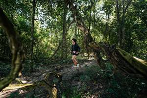 BIB: 
                            <button type="button" onclick="openModal(28058288)" class="btn btn-primary btn-sm float-right btn-popup" data-toggle="modal" data-target=".modal-high-quality">
                        <i class="fas fa-shopping-cart"></i> Add to Cart
                    </button>
                                            <button type="button" onclick="isThisMe(28058288, true)" class="btn btn-success btn-sm float-right btn-popup btn-isme hidden" data-toggle="tooltip" data-placement="bottom" title="นี่คือรูปของคุณใช่ไหม คลิกที่นี่เพื่อเอาเข้าอัลบั้ม">
                        <i class="fas fa-plus"></i> Add to album
                    </button>
                    <button type="button" onclick="isThisMe(28058288, false)" class="btn btn-warning btn-sm float-right btn-popup btn-isnotme hidden">
                        <i class="fas fa-ban"></i> Remove from album
                    </button>