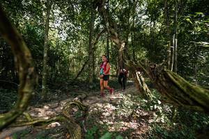 BIB: 
                            <button type="button" onclick="openModal(28076678)" class="btn btn-primary btn-sm float-right btn-popup" data-toggle="modal" data-target=".modal-high-quality">
                        <i class="fas fa-shopping-cart"></i> Add to Cart
                    </button>
                                            <button type="button" onclick="isThisMe(28076678, true)" class="btn btn-success btn-sm float-right btn-popup btn-isme hidden" data-toggle="tooltip" data-placement="bottom" title="นี่คือรูปของคุณใช่ไหม คลิกที่นี่เพื่อเอาเข้าอัลบั้ม">
                        <i class="fas fa-plus"></i> Add to album
                    </button>
                    <button type="button" onclick="isThisMe(28076678, false)" class="btn btn-warning btn-sm float-right btn-popup btn-isnotme hidden">
                        <i class="fas fa-ban"></i> Remove from album
                    </button>