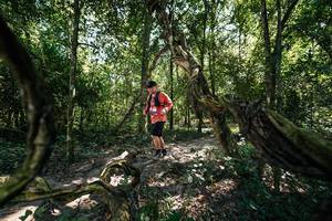 BIB: 
                            <button type="button" onclick="openModal(28069280)" class="btn btn-primary btn-sm float-right btn-popup" data-toggle="modal" data-target=".modal-high-quality">
                        <i class="fas fa-shopping-cart"></i> Add to Cart
                    </button>
                                            <button type="button" onclick="isThisMe(28069280, true)" class="btn btn-success btn-sm float-right btn-popup btn-isme hidden" data-toggle="tooltip" data-placement="bottom" title="นี่คือรูปของคุณใช่ไหม คลิกที่นี่เพื่อเอาเข้าอัลบั้ม">
                        <i class="fas fa-plus"></i> Add to album
                    </button>
                    <button type="button" onclick="isThisMe(28069280, false)" class="btn btn-warning btn-sm float-right btn-popup btn-isnotme hidden">
                        <i class="fas fa-ban"></i> Remove from album
                    </button>