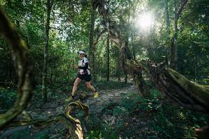 BIB: 
                            <button type="button" onclick="openModal(27954175)" class="btn btn-primary btn-sm float-right btn-popup" data-toggle="modal" data-target=".modal-high-quality">
                        <i class="fas fa-shopping-cart"></i> Add to Cart
                    </button>
                                            <button type="button" onclick="isThisMe(27954175, true)" class="btn btn-success btn-sm float-right btn-popup btn-isme hidden" data-toggle="tooltip" data-placement="bottom" title="นี่คือรูปของคุณใช่ไหม คลิกที่นี่เพื่อเอาเข้าอัลบั้ม">
                        <i class="fas fa-plus"></i> Add to album
                    </button>
                    <button type="button" onclick="isThisMe(27954175, false)" class="btn btn-warning btn-sm float-right btn-popup btn-isnotme hidden">
                        <i class="fas fa-ban"></i> Remove from album
                    </button>