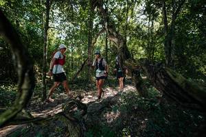 BIB: 
                            <button type="button" onclick="openModal(27955788)" class="btn btn-primary btn-sm float-right btn-popup" data-toggle="modal" data-target=".modal-high-quality">
                        <i class="fas fa-shopping-cart"></i> Add to Cart
                    </button>
                                            <button type="button" onclick="isThisMe(27955788, true)" class="btn btn-success btn-sm float-right btn-popup btn-isme hidden" data-toggle="tooltip" data-placement="bottom" title="นี่คือรูปของคุณใช่ไหม คลิกที่นี่เพื่อเอาเข้าอัลบั้ม">
                        <i class="fas fa-plus"></i> Add to album
                    </button>
                    <button type="button" onclick="isThisMe(27955788, false)" class="btn btn-warning btn-sm float-right btn-popup btn-isnotme hidden">
                        <i class="fas fa-ban"></i> Remove from album
                    </button>