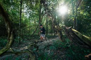 BIB: 
                            <button type="button" onclick="openModal(27953913)" class="btn btn-primary btn-sm float-right btn-popup" data-toggle="modal" data-target=".modal-high-quality">
                        <i class="fas fa-shopping-cart"></i> Add to Cart
                    </button>
                                            <button type="button" onclick="isThisMe(27953913, true)" class="btn btn-success btn-sm float-right btn-popup btn-isme hidden" data-toggle="tooltip" data-placement="bottom" title="นี่คือรูปของคุณใช่ไหม คลิกที่นี่เพื่อเอาเข้าอัลบั้ม">
                        <i class="fas fa-plus"></i> Add to album
                    </button>
                    <button type="button" onclick="isThisMe(27953913, false)" class="btn btn-warning btn-sm float-right btn-popup btn-isnotme hidden">
                        <i class="fas fa-ban"></i> Remove from album
                    </button>