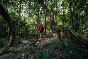 BIB: 
                            <button type="button" onclick="openModal(28072519)" class="btn btn-primary btn-sm float-right btn-popup" data-toggle="modal" data-target=".modal-high-quality">
                        <i class="fas fa-shopping-cart"></i> Add to Cart
                    </button>
                                            <button type="button" onclick="isThisMe(28072519, true)" class="btn btn-success btn-sm float-right btn-popup btn-isme hidden" data-toggle="tooltip" data-placement="bottom" title="นี่คือรูปของคุณใช่ไหม คลิกที่นี่เพื่อเอาเข้าอัลบั้ม">
                        <i class="fas fa-plus"></i> Add to album
                    </button>
                    <button type="button" onclick="isThisMe(28072519, false)" class="btn btn-warning btn-sm float-right btn-popup btn-isnotme hidden">
                        <i class="fas fa-ban"></i> Remove from album
                    </button>