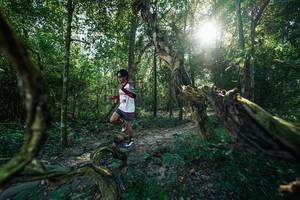 BIB: 
                            <button type="button" onclick="openModal(27953960)" class="btn btn-primary btn-sm float-right btn-popup" data-toggle="modal" data-target=".modal-high-quality">
                        <i class="fas fa-shopping-cart"></i> Add to Cart
                    </button>
                                            <button type="button" onclick="isThisMe(27953960, true)" class="btn btn-success btn-sm float-right btn-popup btn-isme hidden" data-toggle="tooltip" data-placement="bottom" title="นี่คือรูปของคุณใช่ไหม คลิกที่นี่เพื่อเอาเข้าอัลบั้ม">
                        <i class="fas fa-plus"></i> Add to album
                    </button>
                    <button type="button" onclick="isThisMe(27953960, false)" class="btn btn-warning btn-sm float-right btn-popup btn-isnotme hidden">
                        <i class="fas fa-ban"></i> Remove from album
                    </button>