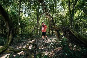 BIB: 
                            <button type="button" onclick="openModal(28069276)" class="btn btn-primary btn-sm float-right btn-popup" data-toggle="modal" data-target=".modal-high-quality">
                        <i class="fas fa-shopping-cart"></i> Add to Cart
                    </button>
                                            <button type="button" onclick="isThisMe(28069276, true)" class="btn btn-success btn-sm float-right btn-popup btn-isme hidden" data-toggle="tooltip" data-placement="bottom" title="นี่คือรูปของคุณใช่ไหม คลิกที่นี่เพื่อเอาเข้าอัลบั้ม">
                        <i class="fas fa-plus"></i> Add to album
                    </button>
                    <button type="button" onclick="isThisMe(28069276, false)" class="btn btn-warning btn-sm float-right btn-popup btn-isnotme hidden">
                        <i class="fas fa-ban"></i> Remove from album
                    </button>