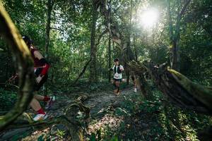 BIB: 
                            <button type="button" onclick="openModal(27954759)" class="btn btn-primary btn-sm float-right btn-popup" data-toggle="modal" data-target=".modal-high-quality">
                        <i class="fas fa-shopping-cart"></i> Add to Cart
                    </button>
                                            <button type="button" onclick="isThisMe(27954759, true)" class="btn btn-success btn-sm float-right btn-popup btn-isme hidden" data-toggle="tooltip" data-placement="bottom" title="นี่คือรูปของคุณใช่ไหม คลิกที่นี่เพื่อเอาเข้าอัลบั้ม">
                        <i class="fas fa-plus"></i> Add to album
                    </button>
                    <button type="button" onclick="isThisMe(27954759, false)" class="btn btn-warning btn-sm float-right btn-popup btn-isnotme hidden">
                        <i class="fas fa-ban"></i> Remove from album
                    </button>