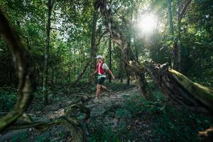 BIB: 
                            <button type="button" onclick="openModal(27953927)" class="btn btn-primary btn-sm float-right btn-popup" data-toggle="modal" data-target=".modal-high-quality">
                        <i class="fas fa-shopping-cart"></i> Add to Cart
                    </button>
                                            <button type="button" onclick="isThisMe(27953927, true)" class="btn btn-success btn-sm float-right btn-popup btn-isme hidden" data-toggle="tooltip" data-placement="bottom" title="นี่คือรูปของคุณใช่ไหม คลิกที่นี่เพื่อเอาเข้าอัลบั้ม">
                        <i class="fas fa-plus"></i> Add to album
                    </button>
                    <button type="button" onclick="isThisMe(27953927, false)" class="btn btn-warning btn-sm float-right btn-popup btn-isnotme hidden">
                        <i class="fas fa-ban"></i> Remove from album
                    </button>