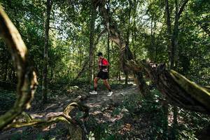 BIB: 
                            <button type="button" onclick="openModal(28066736)" class="btn btn-primary btn-sm float-right btn-popup" data-toggle="modal" data-target=".modal-high-quality">
                        <i class="fas fa-shopping-cart"></i> Add to Cart
                    </button>
                                            <button type="button" onclick="isThisMe(28066736, true)" class="btn btn-success btn-sm float-right btn-popup btn-isme hidden" data-toggle="tooltip" data-placement="bottom" title="นี่คือรูปของคุณใช่ไหม คลิกที่นี่เพื่อเอาเข้าอัลบั้ม">
                        <i class="fas fa-plus"></i> Add to album
                    </button>
                    <button type="button" onclick="isThisMe(28066736, false)" class="btn btn-warning btn-sm float-right btn-popup btn-isnotme hidden">
                        <i class="fas fa-ban"></i> Remove from album
                    </button>