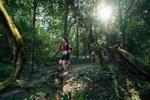 BIB: 
                            <button type="button" onclick="openModal(27954767)" class="btn btn-primary btn-sm float-right btn-popup" data-toggle="modal" data-target=".modal-high-quality">
                        <i class="fas fa-shopping-cart"></i> Add to Cart
                    </button>
                                            <button type="button" onclick="isThisMe(27954767, true)" class="btn btn-success btn-sm float-right btn-popup btn-isme hidden" data-toggle="tooltip" data-placement="bottom" title="นี่คือรูปของคุณใช่ไหม คลิกที่นี่เพื่อเอาเข้าอัลบั้ม">
                        <i class="fas fa-plus"></i> Add to album
                    </button>
                    <button type="button" onclick="isThisMe(27954767, false)" class="btn btn-warning btn-sm float-right btn-popup btn-isnotme hidden">
                        <i class="fas fa-ban"></i> Remove from album
                    </button>