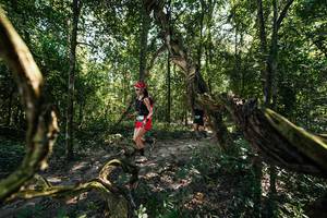 BIB: 
                            <button type="button" onclick="openModal(28066744)" class="btn btn-primary btn-sm float-right btn-popup" data-toggle="modal" data-target=".modal-high-quality">
                        <i class="fas fa-shopping-cart"></i> Add to Cart
                    </button>
                                            <button type="button" onclick="isThisMe(28066744, true)" class="btn btn-success btn-sm float-right btn-popup btn-isme hidden" data-toggle="tooltip" data-placement="bottom" title="นี่คือรูปของคุณใช่ไหม คลิกที่นี่เพื่อเอาเข้าอัลบั้ม">
                        <i class="fas fa-plus"></i> Add to album
                    </button>
                    <button type="button" onclick="isThisMe(28066744, false)" class="btn btn-warning btn-sm float-right btn-popup btn-isnotme hidden">
                        <i class="fas fa-ban"></i> Remove from album
                    </button>