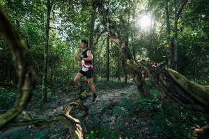 BIB: 
                            <button type="button" onclick="openModal(27954069)" class="btn btn-primary btn-sm float-right btn-popup" data-toggle="modal" data-target=".modal-high-quality">
                        <i class="fas fa-shopping-cart"></i> Add to Cart
                    </button>
                                            <button type="button" onclick="isThisMe(27954069, true)" class="btn btn-success btn-sm float-right btn-popup btn-isme hidden" data-toggle="tooltip" data-placement="bottom" title="นี่คือรูปของคุณใช่ไหม คลิกที่นี่เพื่อเอาเข้าอัลบั้ม">
                        <i class="fas fa-plus"></i> Add to album
                    </button>
                    <button type="button" onclick="isThisMe(27954069, false)" class="btn btn-warning btn-sm float-right btn-popup btn-isnotme hidden">
                        <i class="fas fa-ban"></i> Remove from album
                    </button>